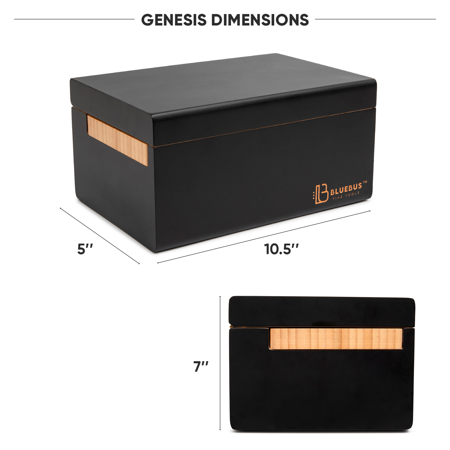 Genesis Storage Stash Box